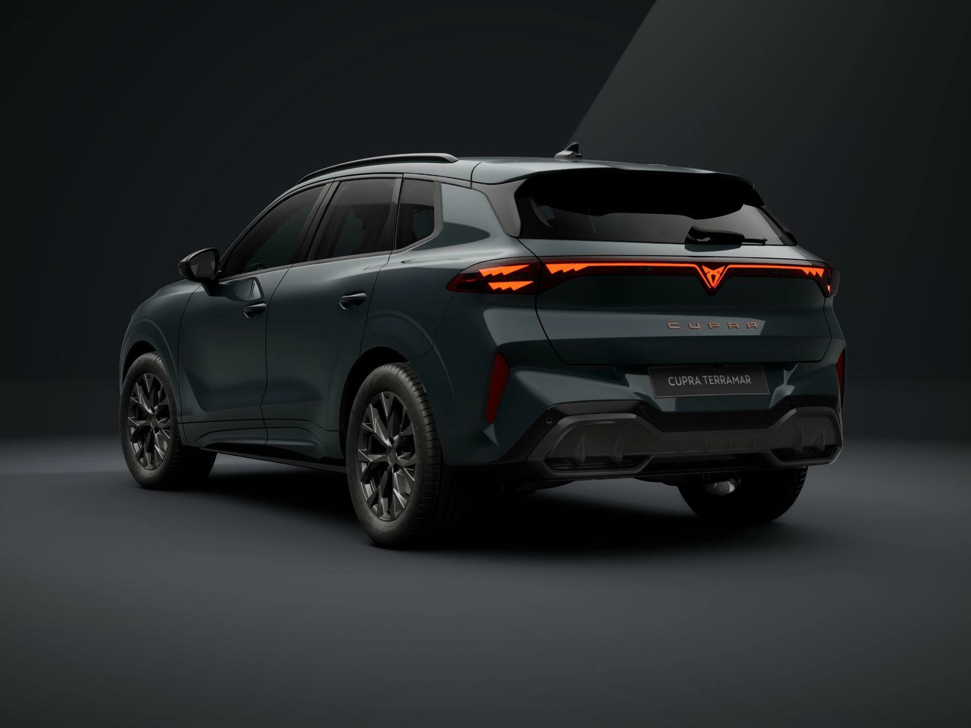 Cupra Terramar 2.0 TSI 2,0 150 kW automat, Česko — foto 4 z 28