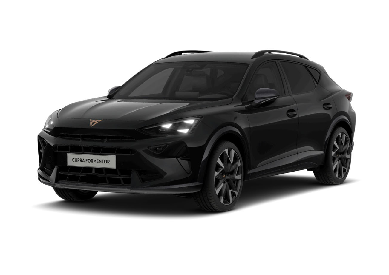 Listing 1.0 TSI automatic, Česko — foto 6 z 21