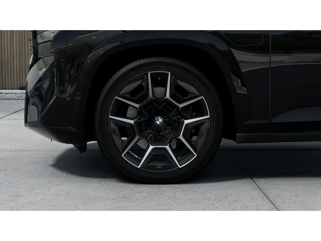 BMW Xm v8 xDrive, Česko — foto 13 z 26