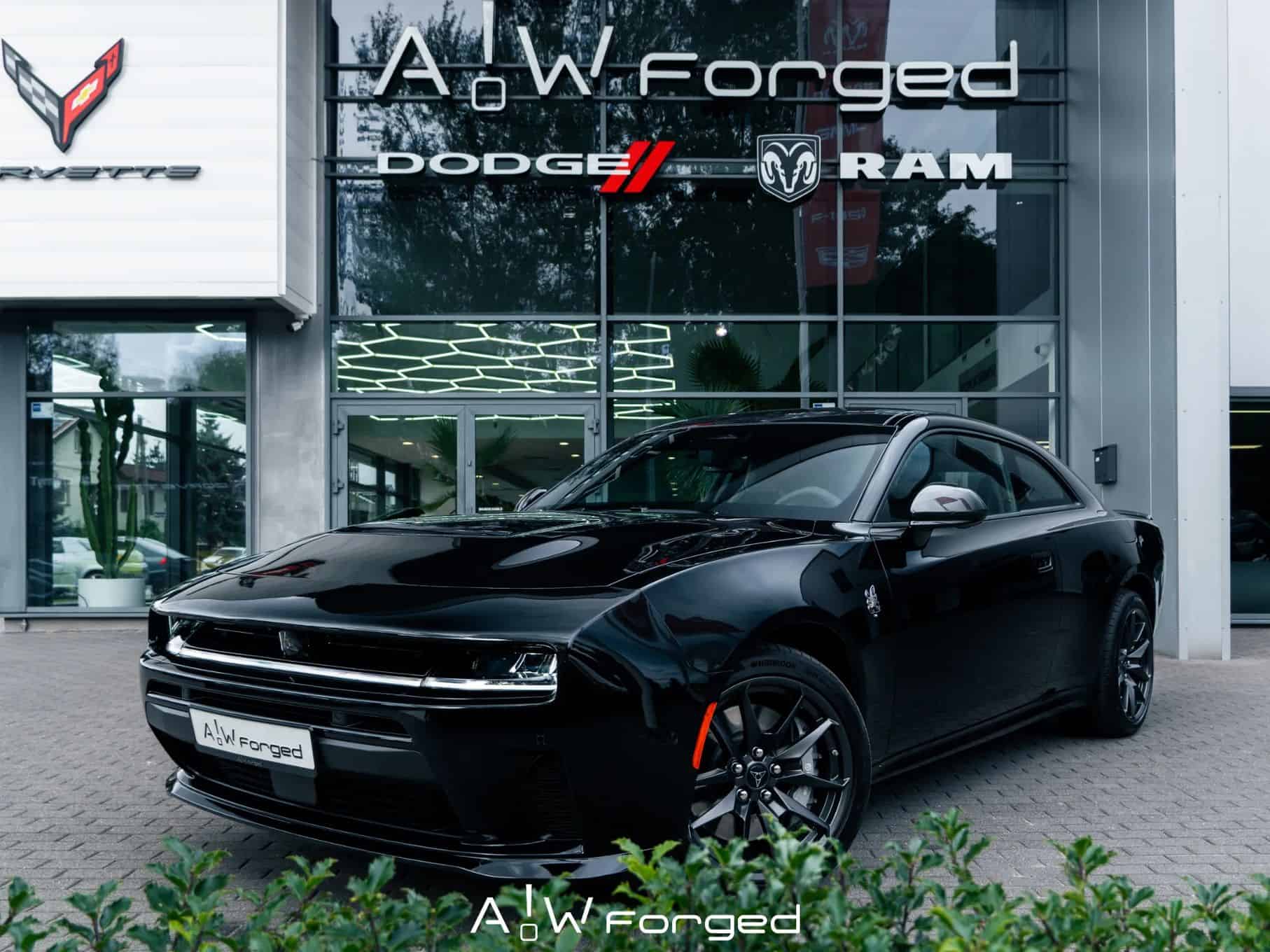 Dodge Forged, Polsko — foto 6 z 12