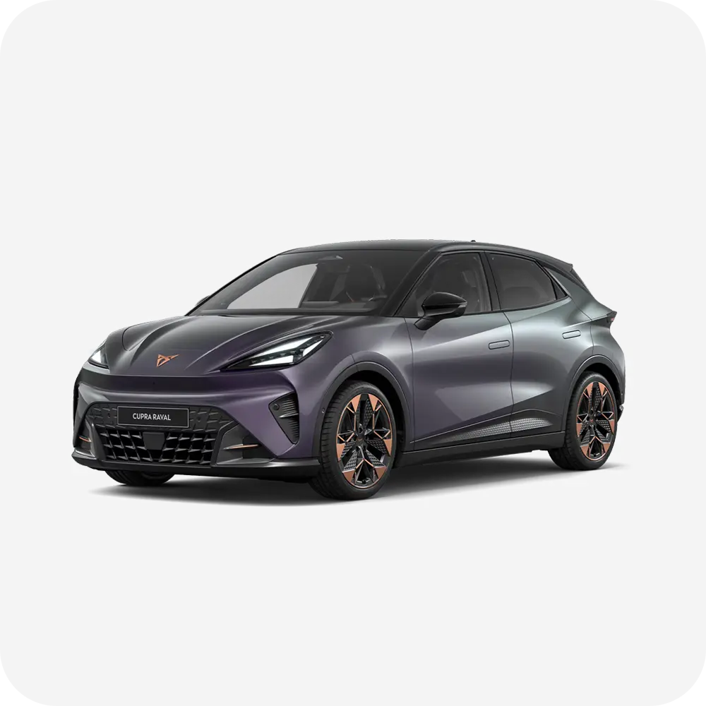 Cupra 166 kW, Polsko — foto 10 z 18