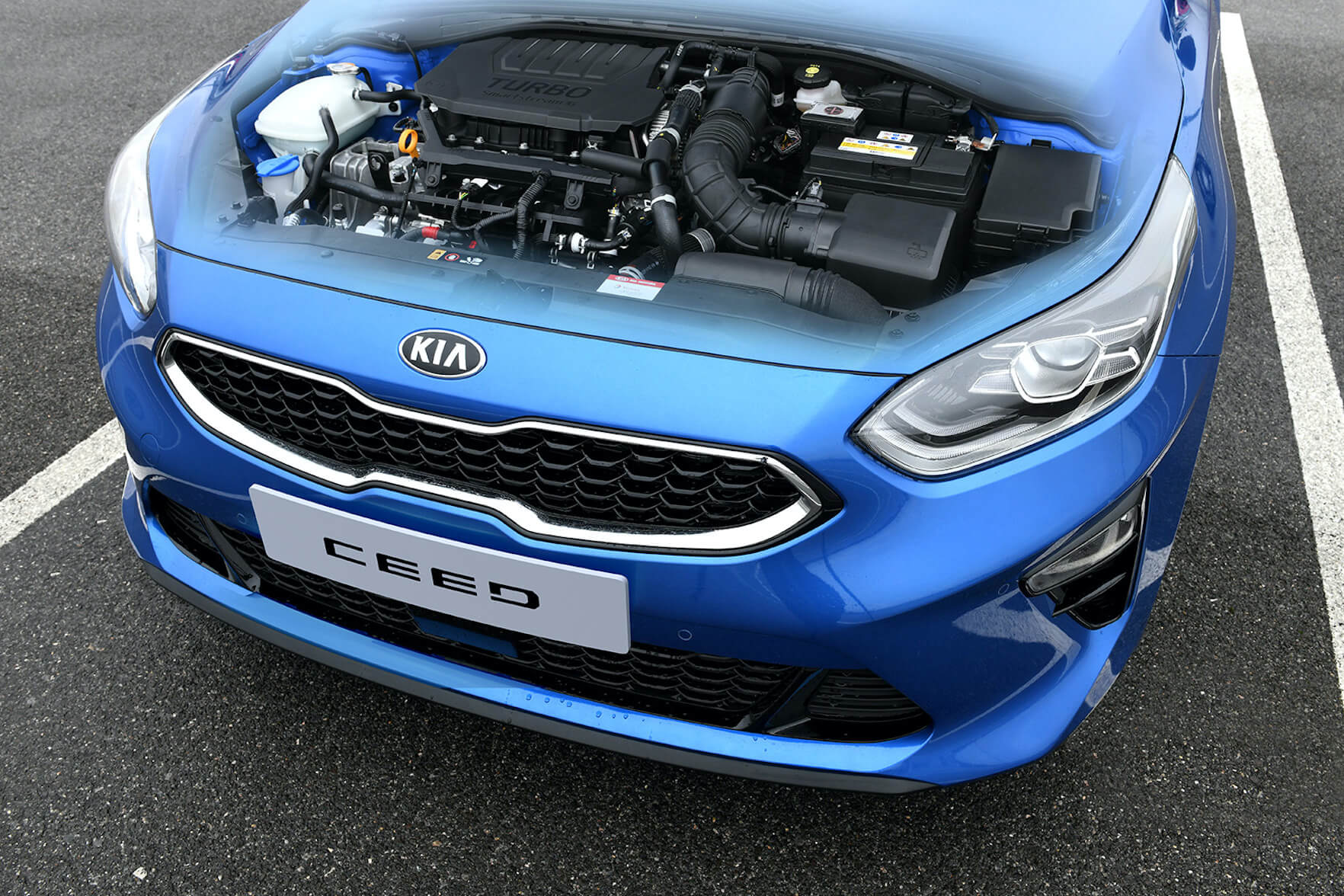 Kia Co Znaczy PHEV MHEV, 100 km, Polsko — foto 2 z 10