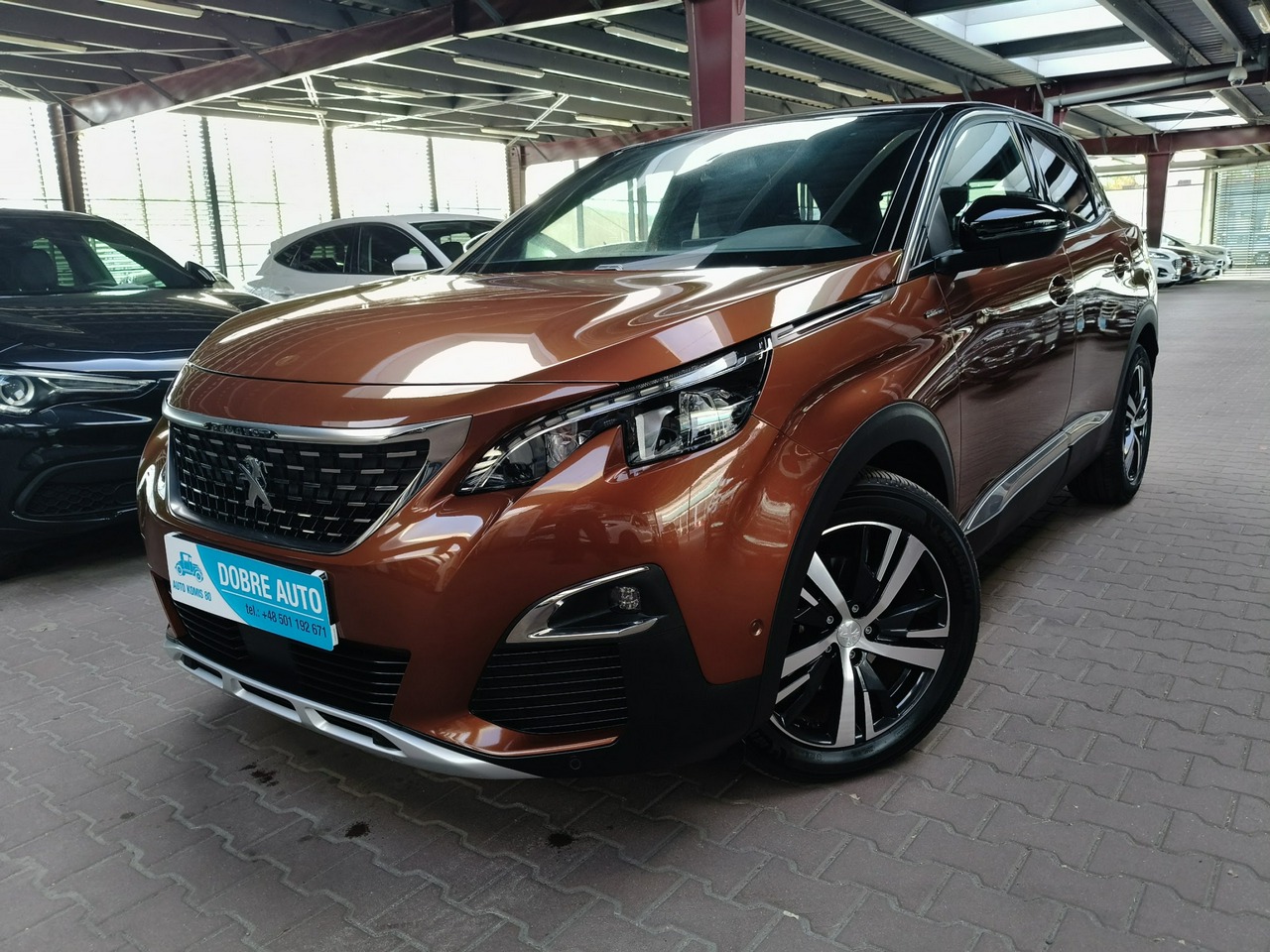Ford Kuga Iii, Polsko — foto 3 z 38