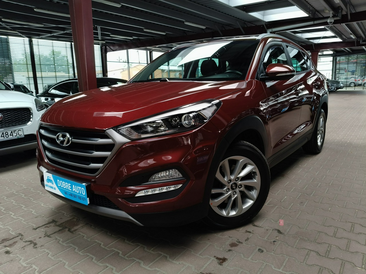 Renault Kadjar I, Polsko — foto 3 z 28