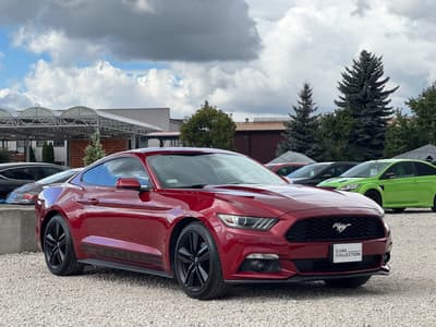 Ford 225 kW rok 2015, 131 469 km, Polsko — foto 3 z 14