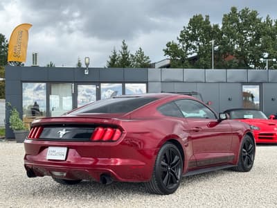Ford 225 kW rok 2015, 131 469 km, Polsko — foto 5 z 14