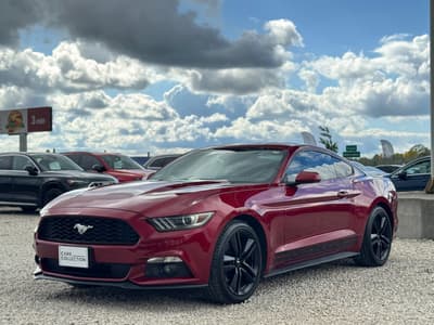 Ford 225 kW rok 2015, 131 469 km, Polsko — foto 9 z 14