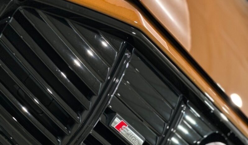 Audi E-tron 300 kW automat, Slovensko — foto 9 z 60