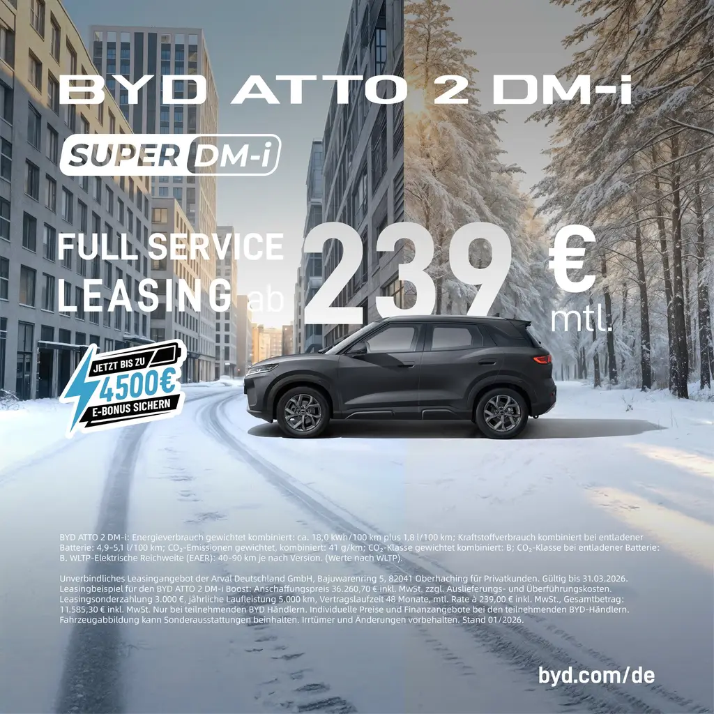 BYD Dolphin Surf, Německo — foto 4 z 20