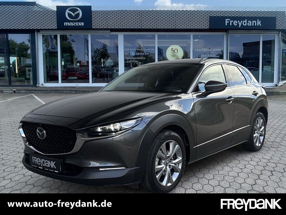 Mazda Auto, Německo — foto 4 z 16