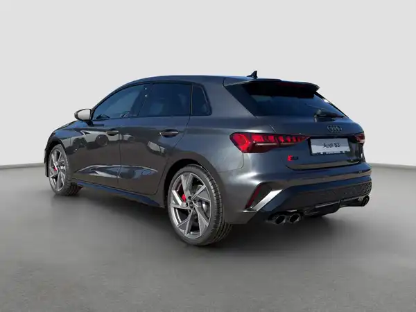 Audi s3 8.4, 100 km, Německo — foto 8 z 17