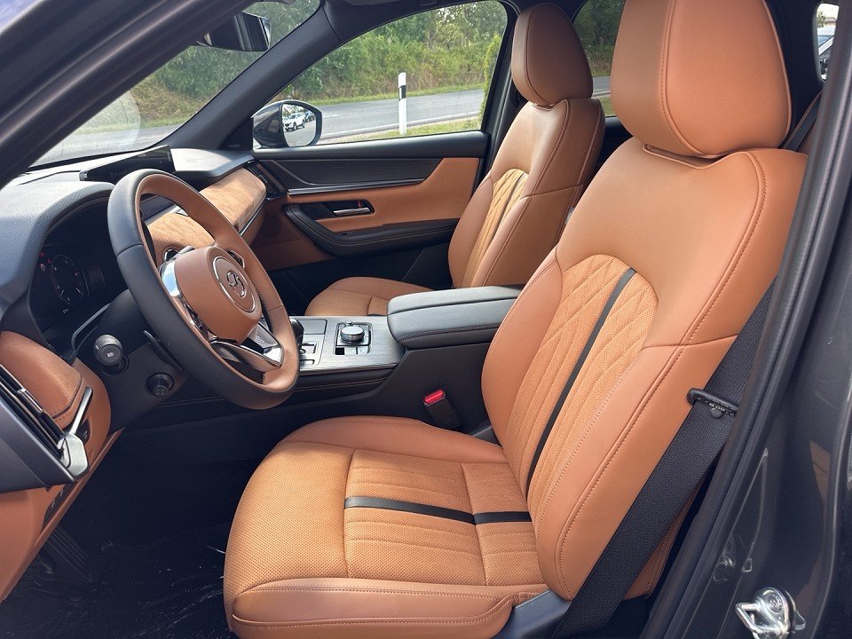 Mazda CX-60 3,3, 100 km, Německo — foto 9 z 15