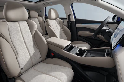 BYD Atto 3 230 kW, 100 km, Německo — foto 15 z 21