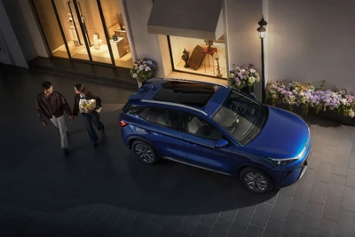 BYD Atto 3 230 kW, 100 km, Německo — foto 16 z 21