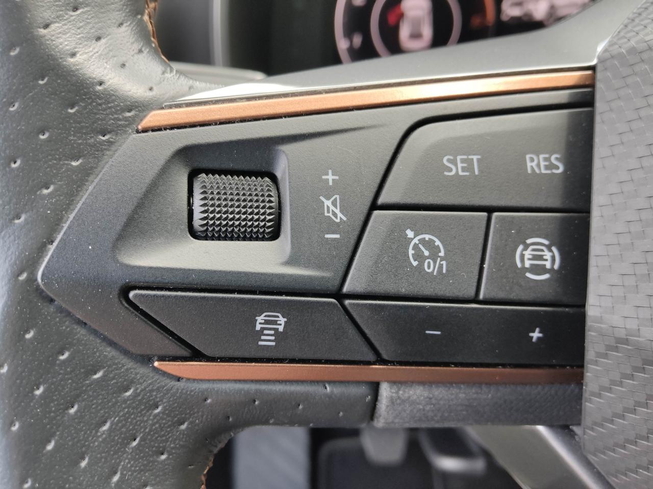 Cupra Formentor 2.0 TDI manuál rok 2022, Německo — foto 16 z 28